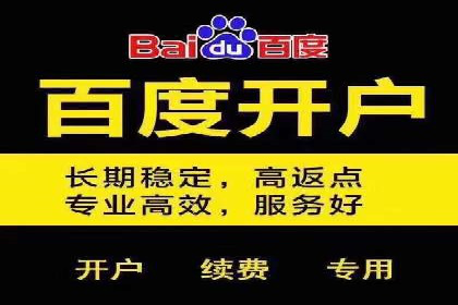 实战案例：如何利用百度推广拓展市场份额